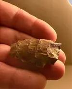 ImageUploadedByTreasureNet.com1629035927.415246.webp