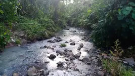 received_308720714356128.webp received_308720714356128.webp