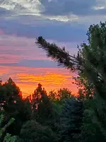 20210701_052806.webp