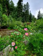 20210701_114455.webp