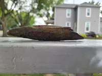 20210730_175703.webp