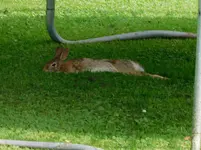 DSCN0821.webp
