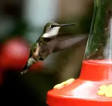 DSCN1067.webp
