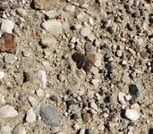 20210701_171031.webp