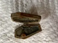 coffin locket open.webp
