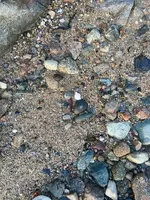ImageUploadedByTreasureNet.com1629071003.198860.webp