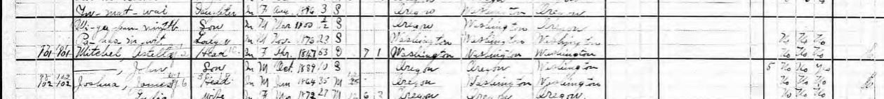 john mitchel 1900 census.JPG
