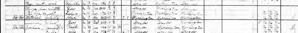 john mitchel 1900 census.webp