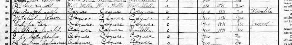 John Mitchel 1900 census p2.JPG
