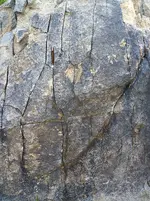 DSCF0021.webp