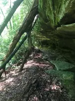 ImageUploadedByTreasureNet.com1625319763.137121.webp