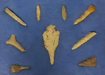 resized_drills.webp