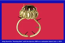 Hunting Dad's Ring#4.webp