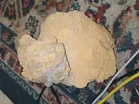 IMG_20210712_211445.webp