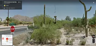 2021-09-07 (2)_LI.webp