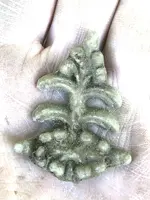pine1.webp