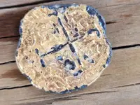 coin 1.webp