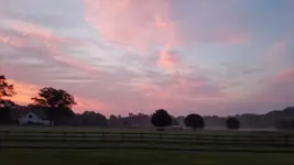 20210726_054023.webp