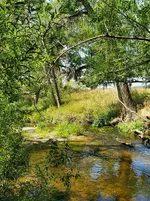 20210814_115917.webp