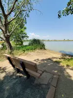 20210814_123928.webp