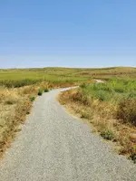 20210814_130434.webp