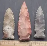 matanzas arrowhead.webp