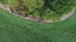DJI_0230.webp