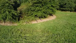 DJI_0236.webp