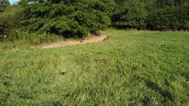 DJI_0241.webp