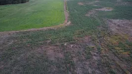 DJI_0251.webp