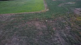 DJI_0253.webp