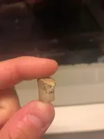 bullet1.webp