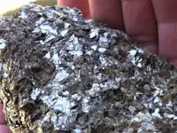 DSCF9455.webp