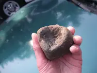 DSCF9384.webp