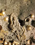 sqj_1604_danube_gold_05 spirals.webp