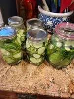 20210711_195941001cukes.webp
