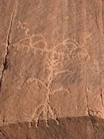 hopi corn petro.webp