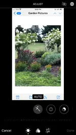 8B2ED3F9-76B9-472B-9931-9D4D7E7964E5.webp