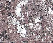 spot.webp