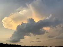 D4119B88-5454-4F1B-9BD7-DF4D33AC59EA.webp