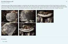 Florida Pottery #9 (2).webp