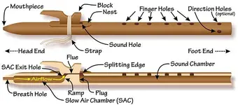720px-Native_American_flute_Composite_Anatomy.webp