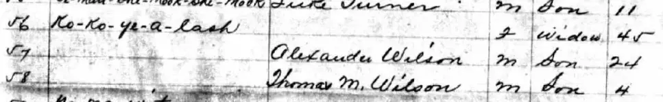 Ko Ko's Family in 1892 Indian Rolls.webp