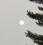 20210719_185721.webp