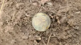 TE button.webp