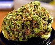 pot 2.webp