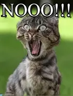 Nooo.webp