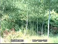 000hhh.webp