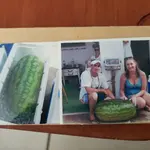 20210820_093955.webp
