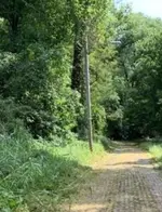 20210911_171904.webp 20210911_171904.webp